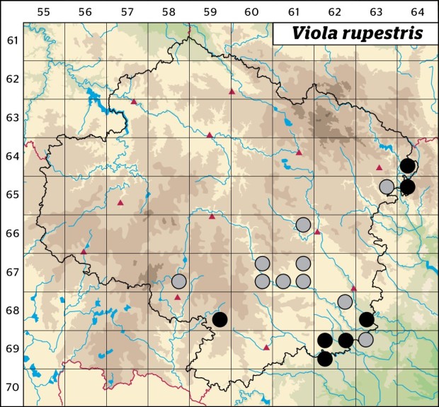 Mapa výskytu - violka písečná - Viola rupestris