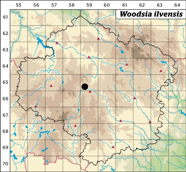 Mapa výskytu - kapradinka skalní - Woodsia ilvensis